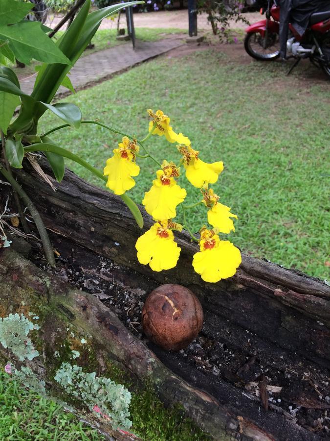 Willa Casa Colonial Terrea No Saco Da Capela Em Ilhabela Zewnętrze zdjęcie